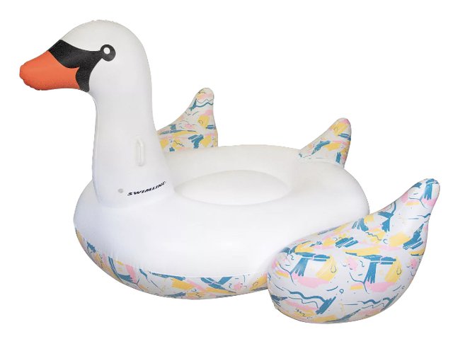 swan float.png