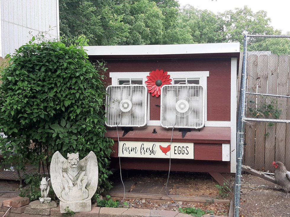 OverEZ Chicken Coops Started As A Shark Tank Pitch That's Achieved ...