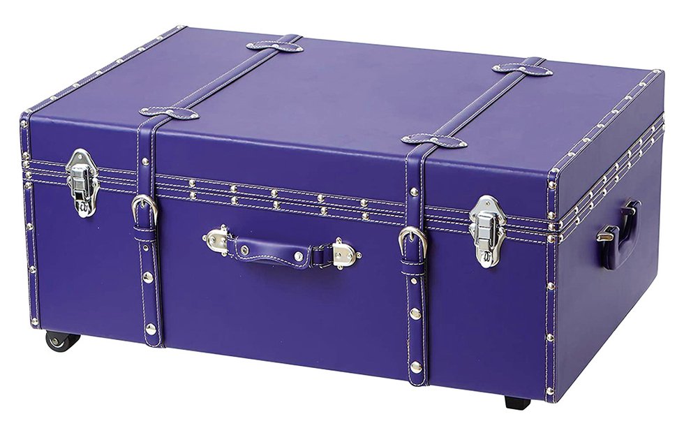 dorm co purple trunk.jpg