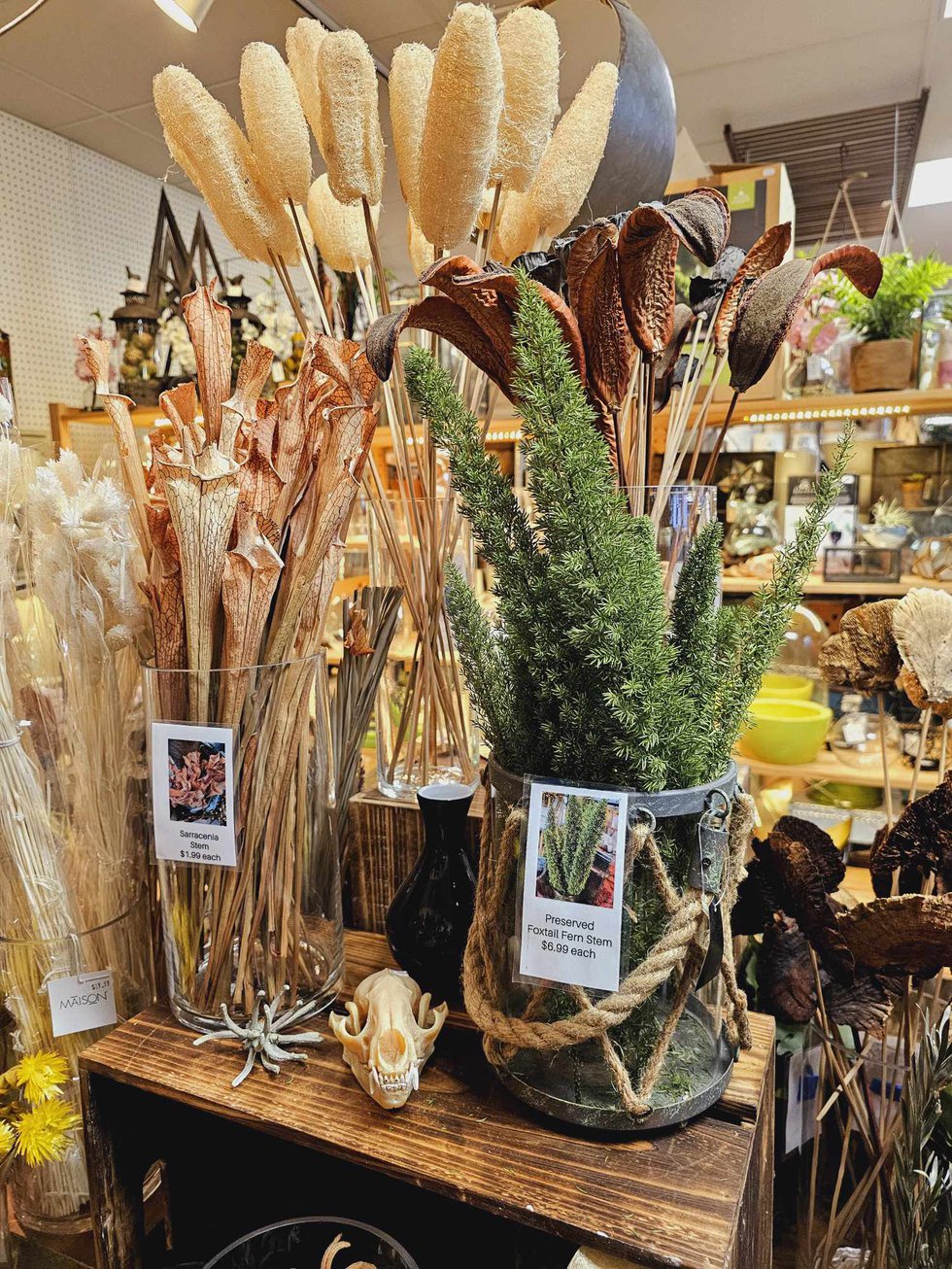 Riverview Preserved and dried ferns, flowers, seed pods and stems avalable for purchase at Riverview.jpg