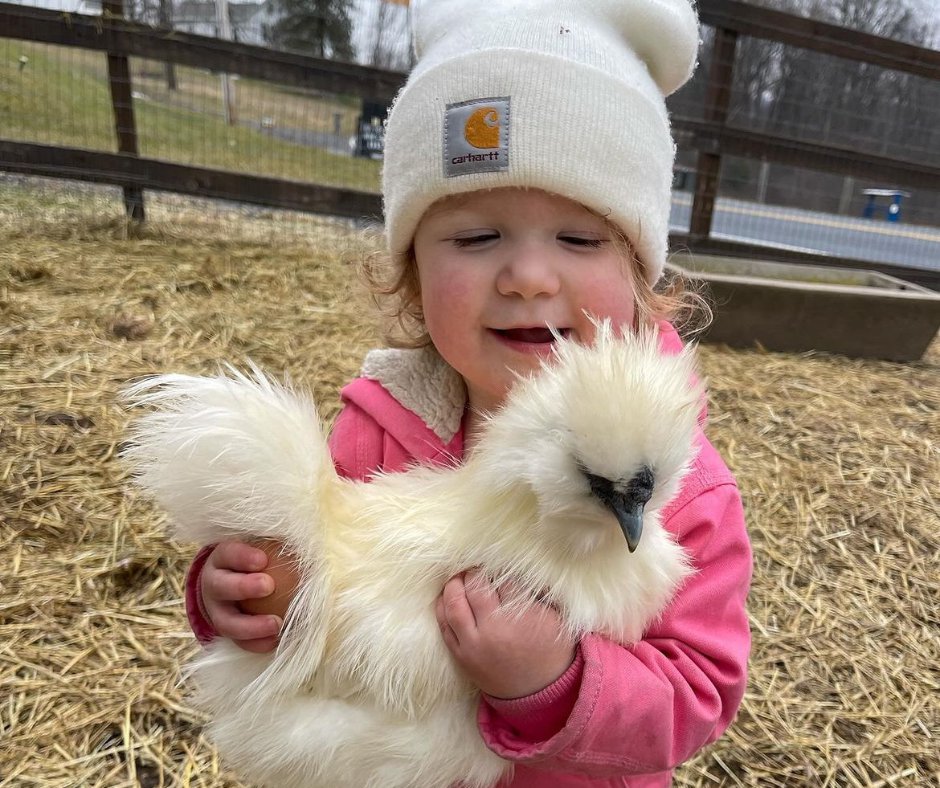 Local Family Farms you can Visit - 1